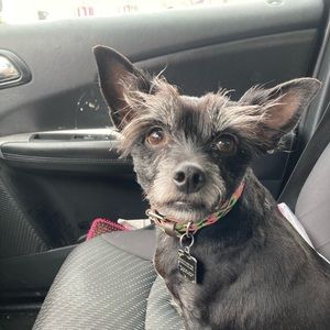 Meet your Posher, Twila